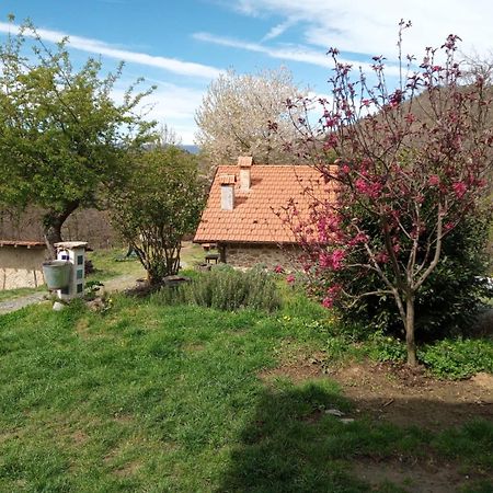 Ca' De L'Ase Bed & Breakfast Pontinvrea Exterior photo