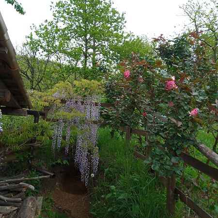 Ca' De L'Ase Bed & Breakfast Pontinvrea Exterior photo