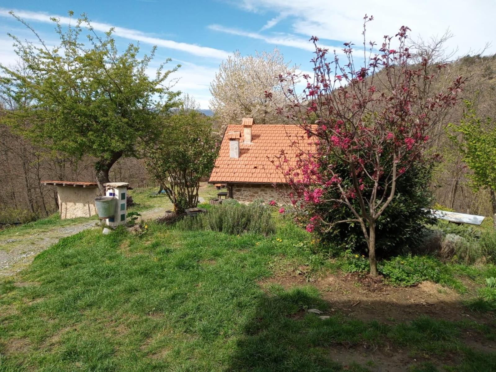 Ca' De L'Ase Bed & Breakfast Pontinvrea Exterior photo